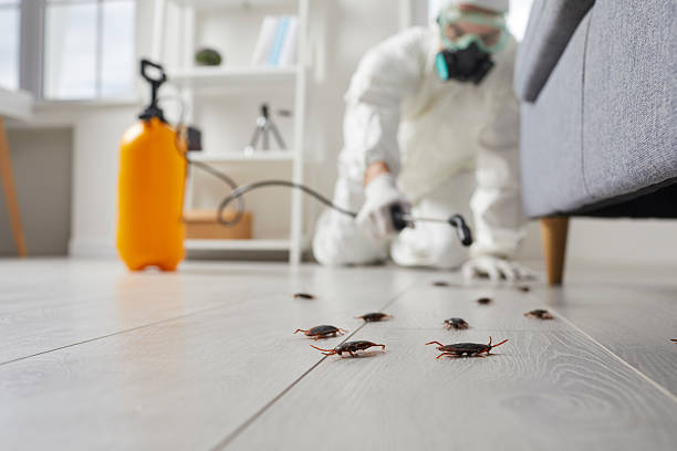 Commercial Kitchen Cockroach Control in Circleville
